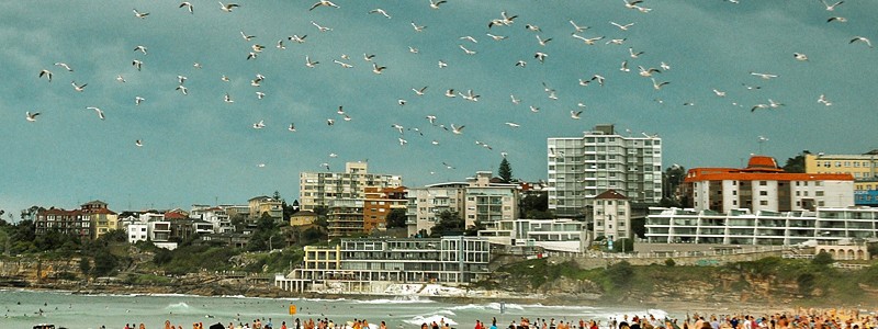 Bondi Beach