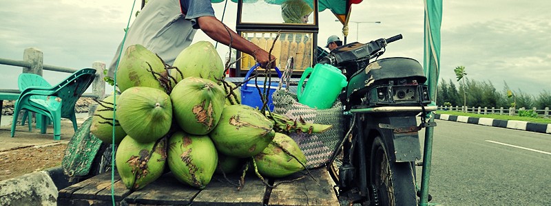 Coconut peddler