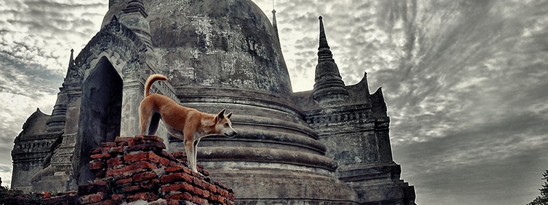 Ayutthaya