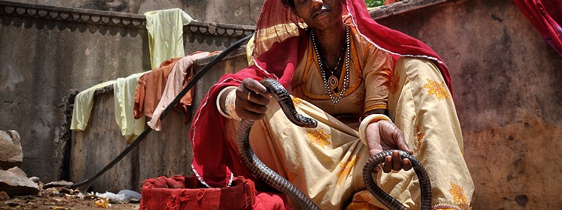 Snake charmer