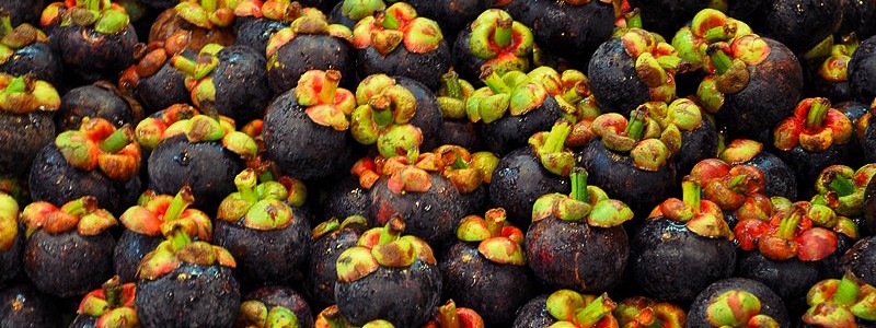 Mangosteen